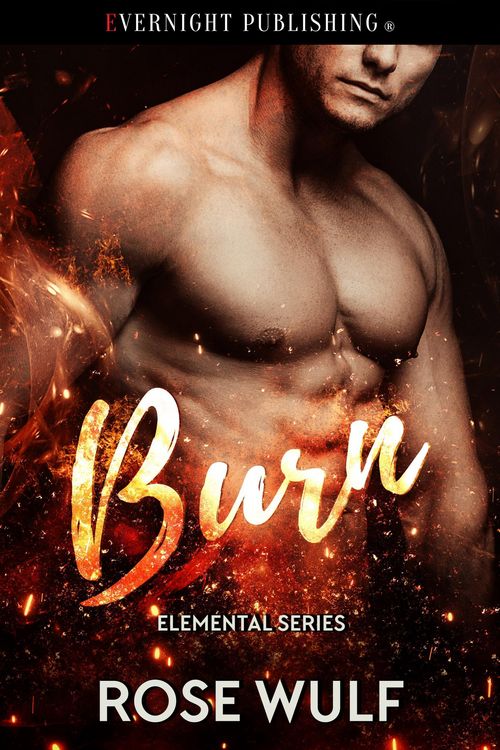 Produktbild: Burn