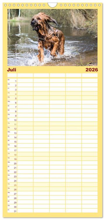 Produktbild: Familienplaner 2026 - Der Briard - Ein echter Charmeur mit 5 Spalten (Wandkalender, 21 x 45 cm) CALVENDO