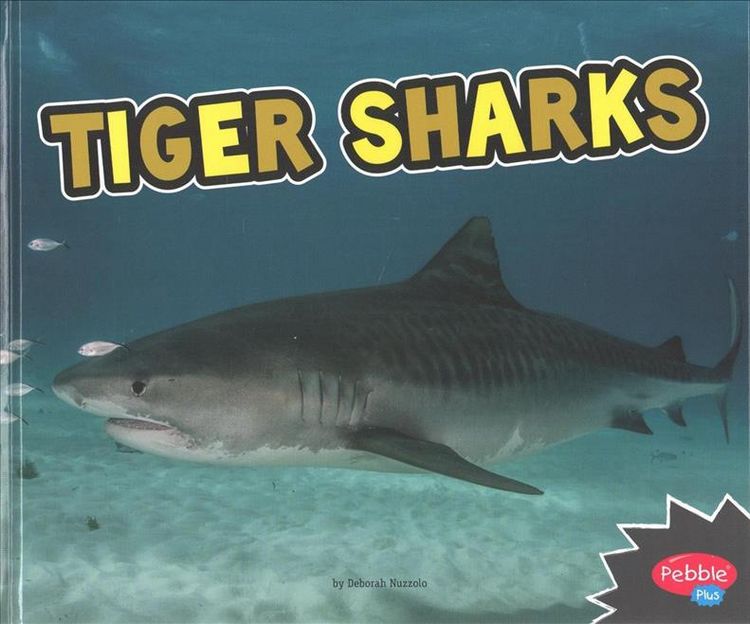 Produktbild: Nuzzolo, D: Tiger Sharks