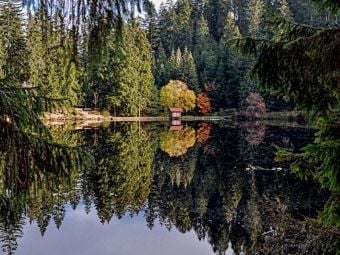 Produktbild: CALVENDO Puzzle Der Glaswaldsee bei Bad Peterstal | 1000 Teile Lege-Gr&ouml;&szlig;e 64x48cm Foto-Puzzle f&uuml;r gl&uuml;ckliche Stunden