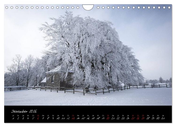 Produktbild: Hochmoor Hohes Venn (Wandkalender 2026 DIN A4 quer), CALVENDO Monatskalender