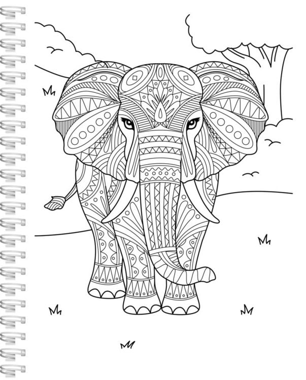 Produktbild: Mein Tierisches Mandala Malbuch
