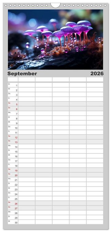 Produktbild: Familienplaner 2026 - Wunderwelt Mikrokosmos mit 5 Spalten (Wandkalender, 21 x 45 cm) CALVENDO