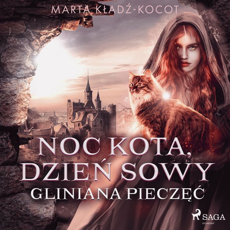 Produktbild: Noc kota, dzień sowy: Gliniana Pieczęć