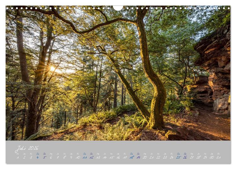 Produktbild: Ausfl&uuml;ge in der Heimat - Die Pfalz (Wandkalender 2026 DIN A3 quer), CALVENDO Monatskalender