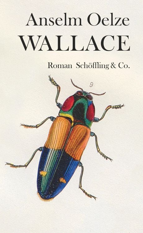 Produktbild: Wallace