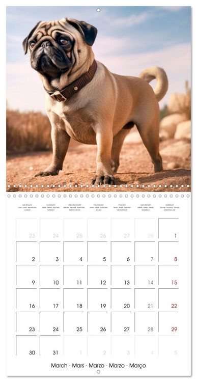 Produktbild: PUGS Cute and cuddly doggies (Wall Calendar 2026 12 &times; 12 Inch) CALVENDO 12 Month Wall Calendar