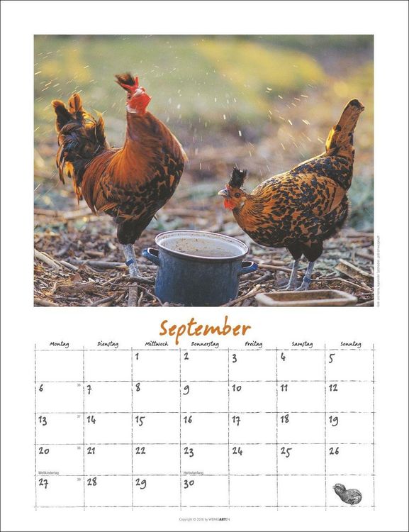 Produktbild: Der H&uuml;hnerkalender 2027