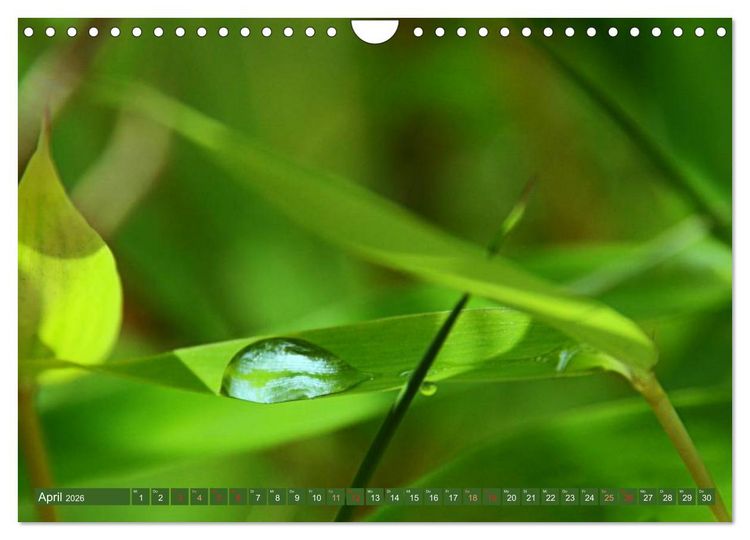 Produktbild: Momente der Stille (Wandkalender 2026 DIN A4 quer), CALVENDO Monatskalender