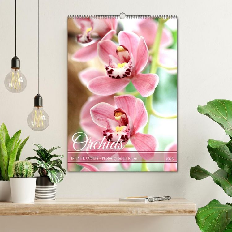 Produktbild: Orchids - Infinite Variety (Wall Calendar 2026 DIN A2 portrait), CALVENDO 12 Month Wall Calendar