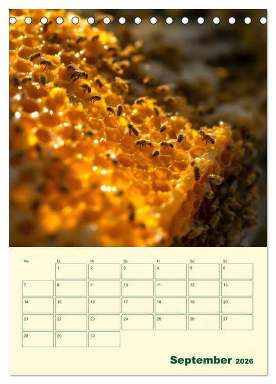 Produktbild: Bienenblick &ndash; Ein Jahr mit den Bienen (Tischkalender 2026 DIN A5 hoch), CALVENDO Monatskalender