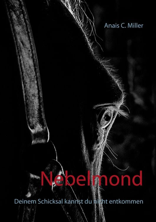 Produktbild: Nebelmond