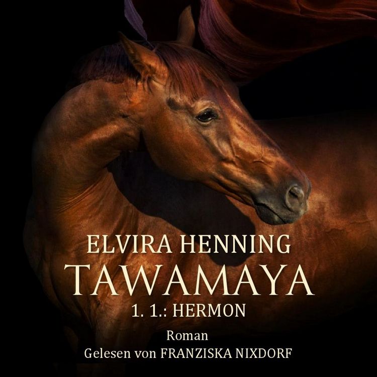 Produktbild: TAWAMAYA - 1.1.: HERMON