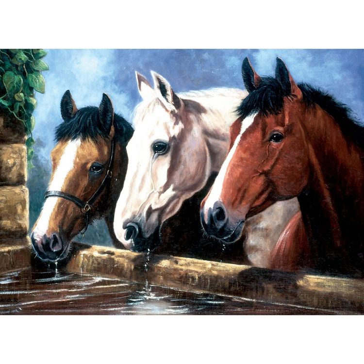 Shukqueen Malen-nach-Zahlen-Set Für Erwachsene – Motiv Pferde, 40 X 50 Cm, Mit Acrylfarben & Pinseln