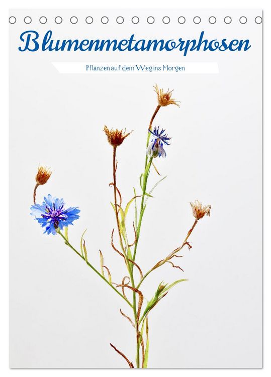 Produktbild: Blumenmetamorphosen (Tischkalender 2026 DIN A5 hoch), CALVENDO Monatskalender