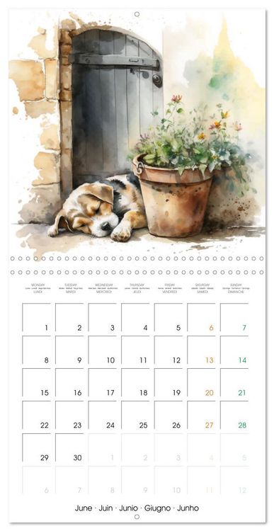 Produktbild: Regard sur la ferme (Calendrier mural carr&eacute; 2026 30x30 cm) Calendrier double avec une page pour vos prises de notes