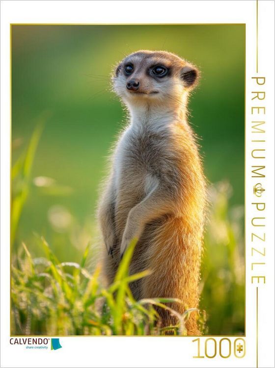 Produktbild: CALVENDO Puzzle Ein Motiv aus dem Kalender W&auml;chter der W&uuml;ste | 1000 Teile Lege-Gr&ouml;&szlig;e 64x48cm Foto-Puzzle f&uuml;r gl&uuml;ckliche Stunden
