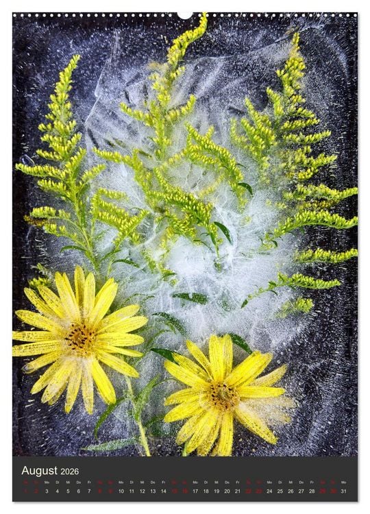 Produktbild: Magische Eisblumen (Wandkalender 2026 DIN A2 hoch), CALVENDO Monatskalender
