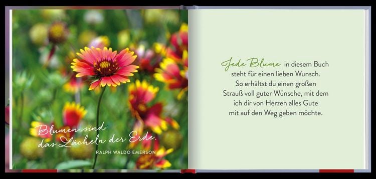 Produktbild: Ein Strau&szlig; voll guter W&uuml;nsche