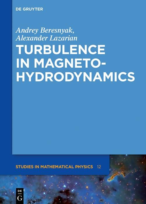 Produktbild: Turbulence in Magnetohydrodynamics