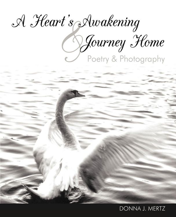 Produktbild: A Heart's Awakening & Journey Home