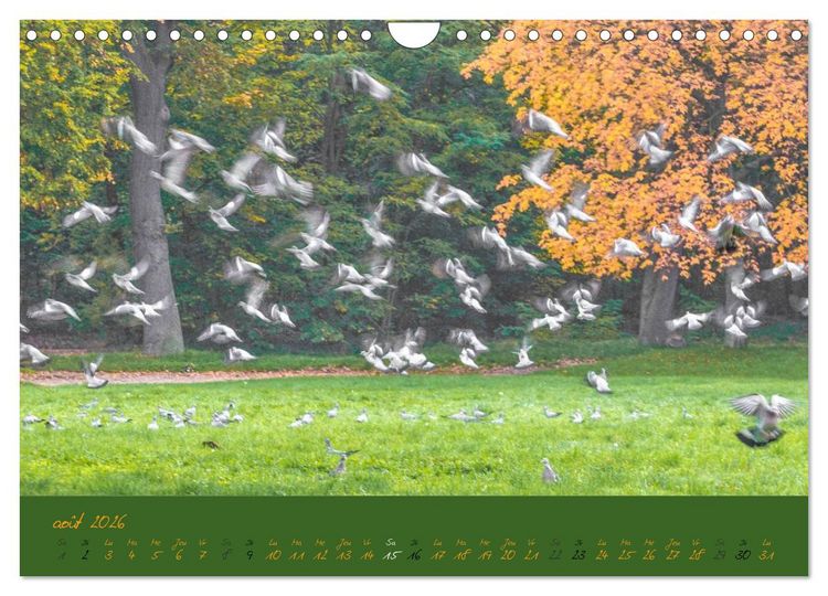 Produktbild: Un automne au Bois (Calendrier mural 2026 DIN A4 vertical), CALVENDO calendrier mensuel