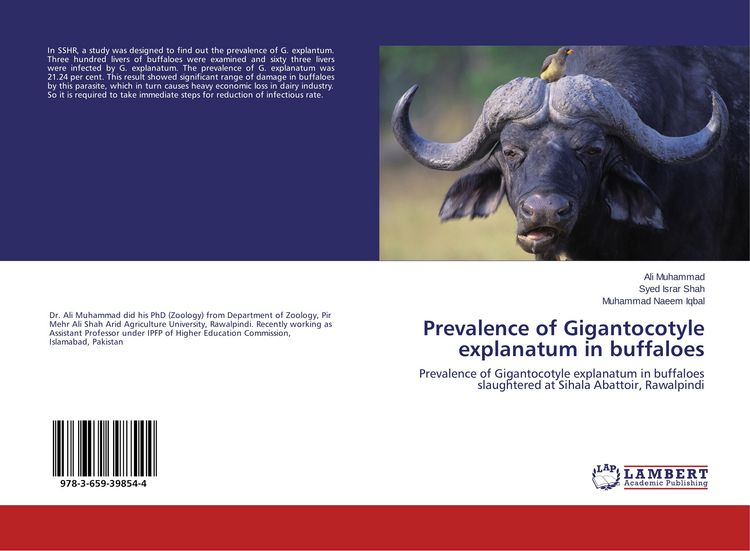 Produktbild: Prevalence of Gigantocotyle explanatum in buffaloes
