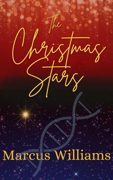 Produktbild: The Christmas Stars