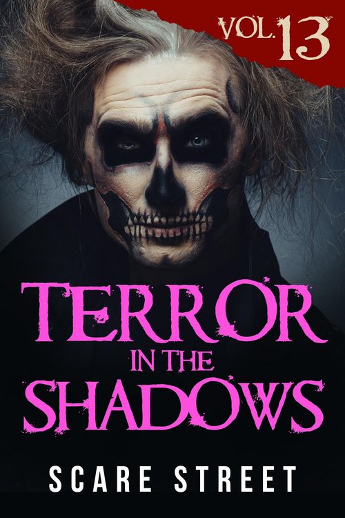 Produktbild: Terror in the Shadows Vol. 13