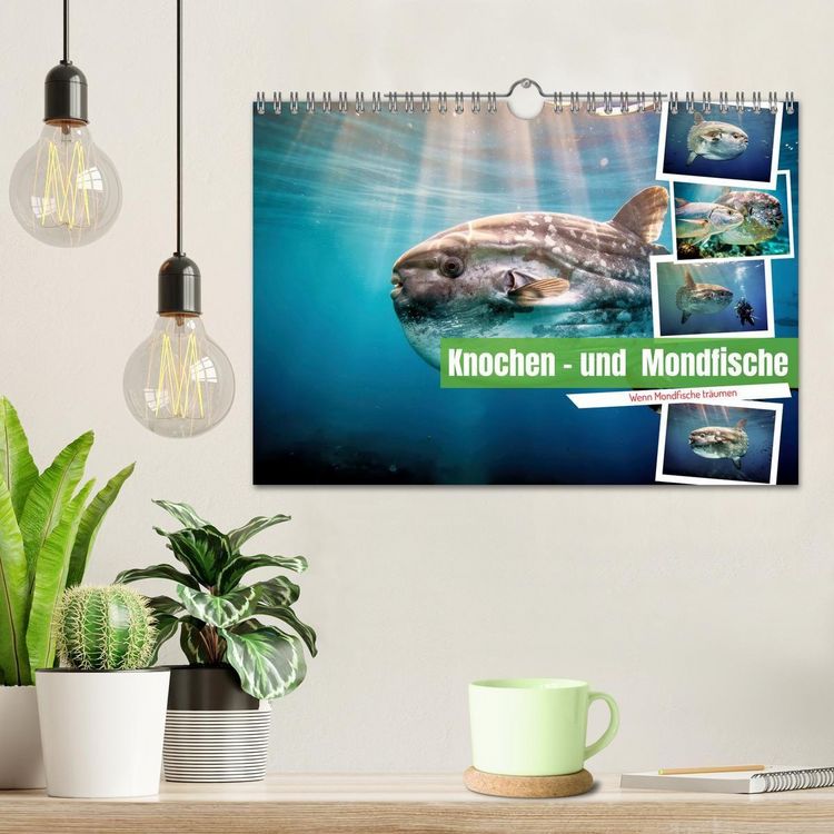 Produktbild: Knochen - und Mondfische (Wandkalender 2027 DIN A4 quer), CALVENDO Monatskalender