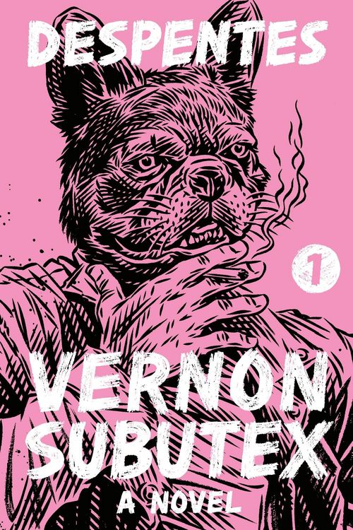 Produktbild: Vernon Subutex 1