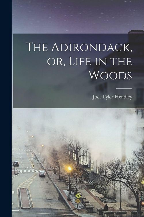 Produktbild: The Adirondack, or, Life in the Woods