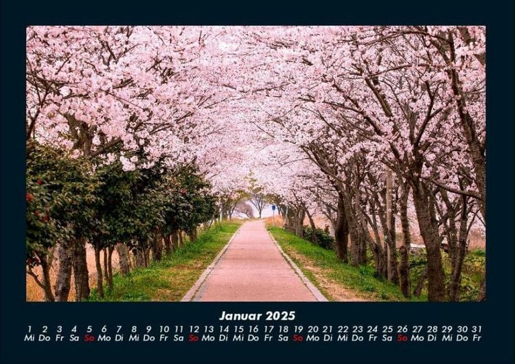 Produktbild: B&auml;ume 2025 Fotokalender DIN A4