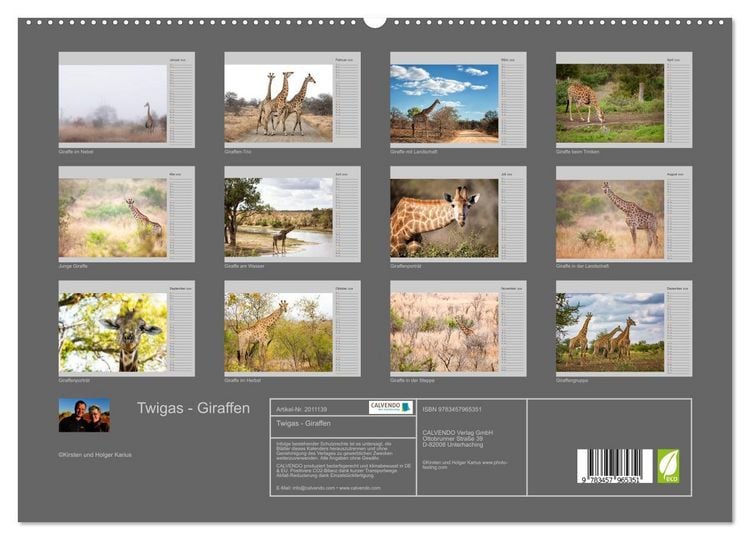 Produktbild: Twigas - Giraffen (hochwertiger Premium Wandkalender 2026 DIN A2 quer), Kunstdruck in Hochglanz