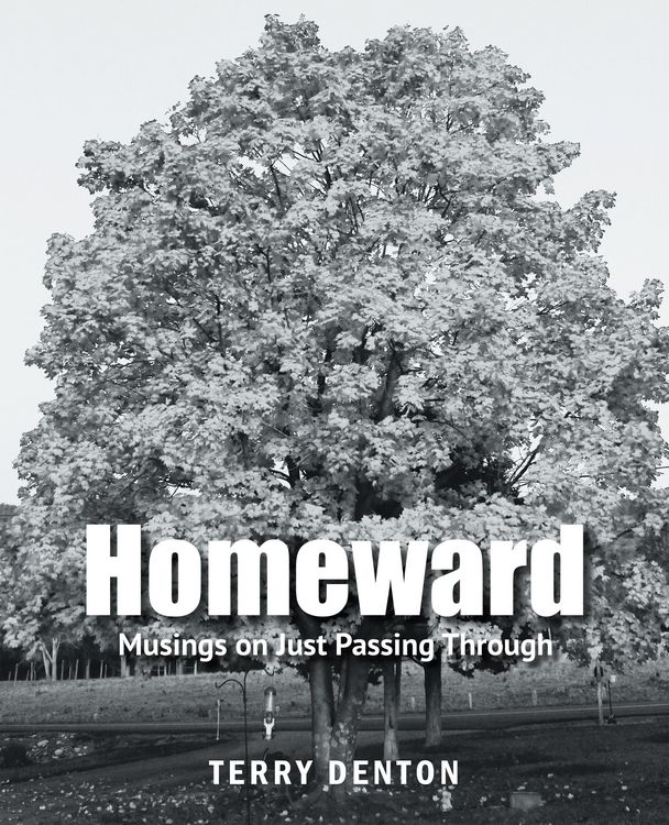 Produktbild: Homeward