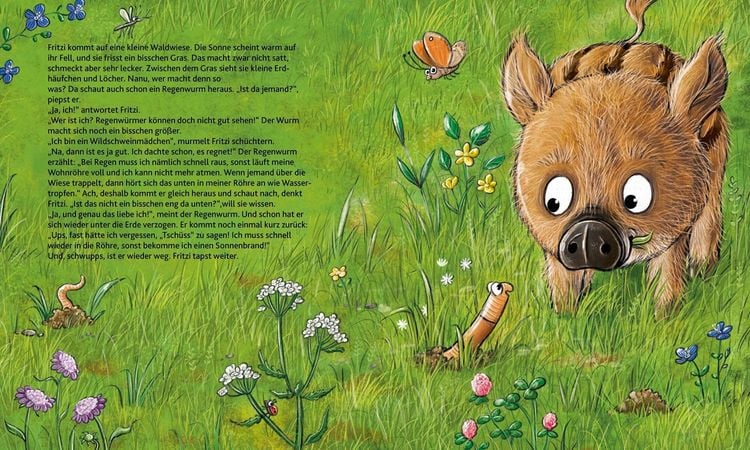 Wie wohnen die Waldtiere?