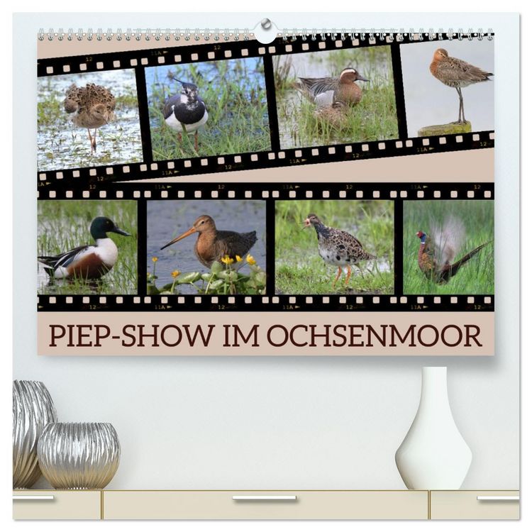 Produktbild: PIEP-SHOW im Ochsenmoor (hochwertiger Premium Wandkalender 2026 DIN A2 quer), Kunstdruck in Hochglanz