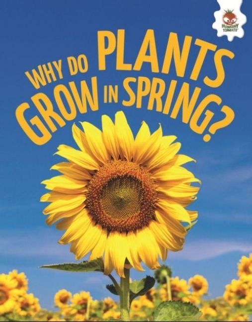 Produktbild: Young Science Seekers: Why Do Plants Grow in Spring?