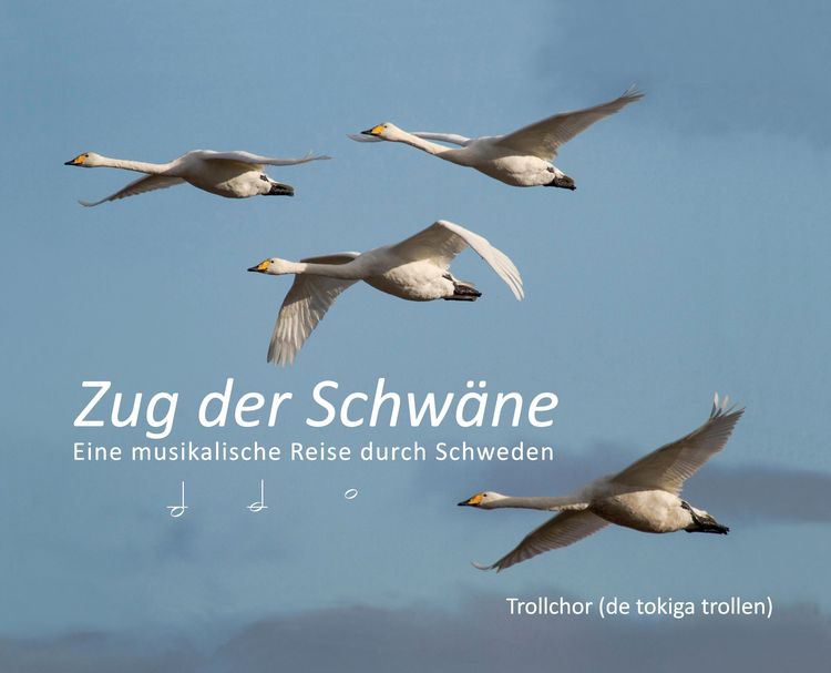 Produktbild: Zug der Schw&auml;ne