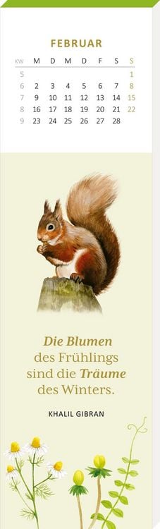 Produktbild: Lesezeichenkalender Naturschätze 2026