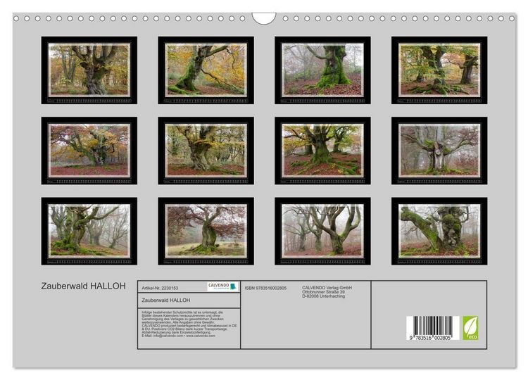 Produktbild: Zauberwald HALLOH (Wandkalender 2026 DIN A3 quer), CALVENDO Monatskalender