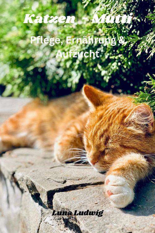 Produktbild: Katzen Mutti Pflege, Ern&auml;hrung & Zucht