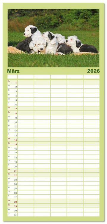 Produktbild: Familienplaner 2026 - In der Kinderstube bei Familie Bobtail mit 5 Spalten (Wandkalender, 21 x 45 cm) CALVENDO