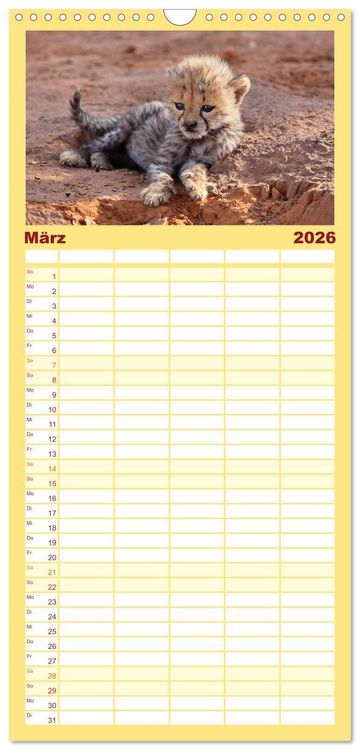 Produktbild: Familienplaner 2026 - Wildes Kinderzimmer - Tierkinder in Afrika mit 5 Spalten (Wandkalender, 21 x 45 cm) CALVENDO