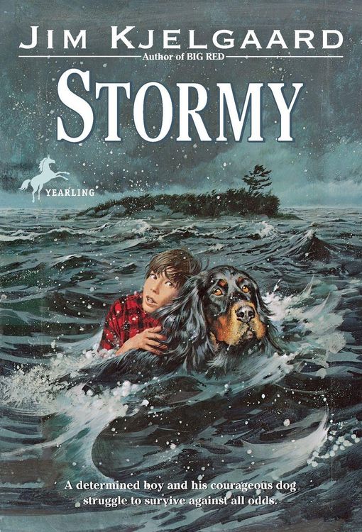 Produktbild: Stormy
