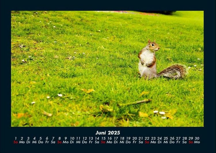 Produktbild: London - Impressionen 2025 Fotokalender DIN A4