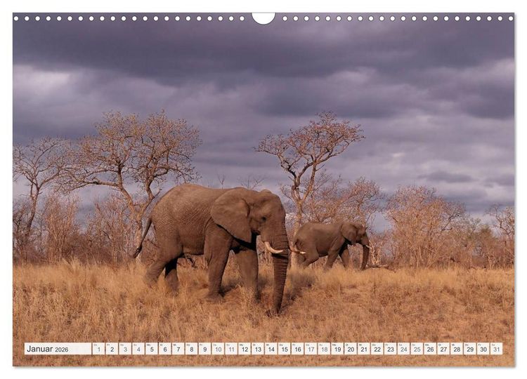 Produktbild: S&uuml;dafrika / Landschaften & Tiere / Christian Heeb (Wandkalender 2026 DIN A3 quer), CALVENDO Monatskalender