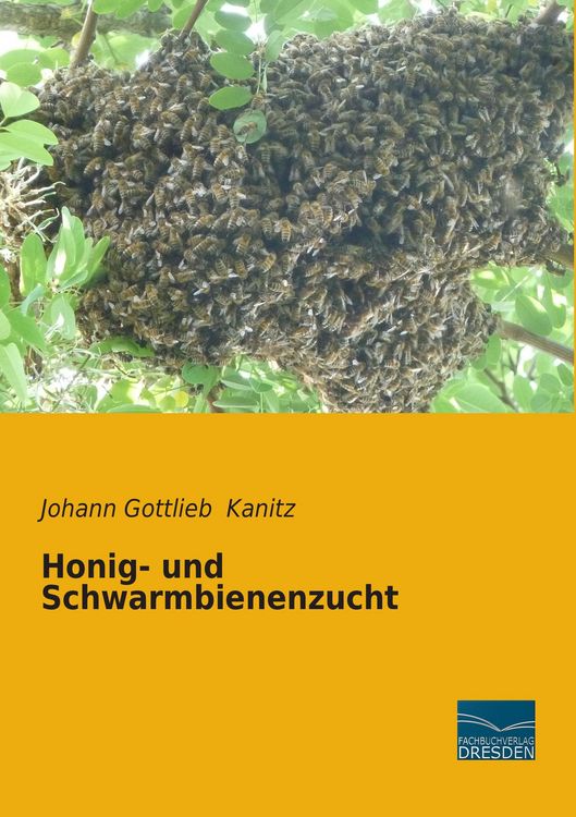 Produktbild: Honig- und Schwarmbienenzucht