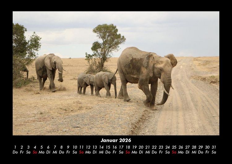 Produktbild: Der Elefantenkalender 2026 Fotokalender DIN A3
