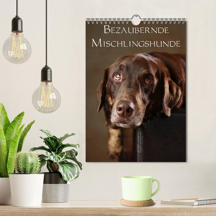 Produktbild: Bezaubernde Mischlingshunde (Wandkalender 2026 DIN A4 hoch), CALVENDO Monatskalender